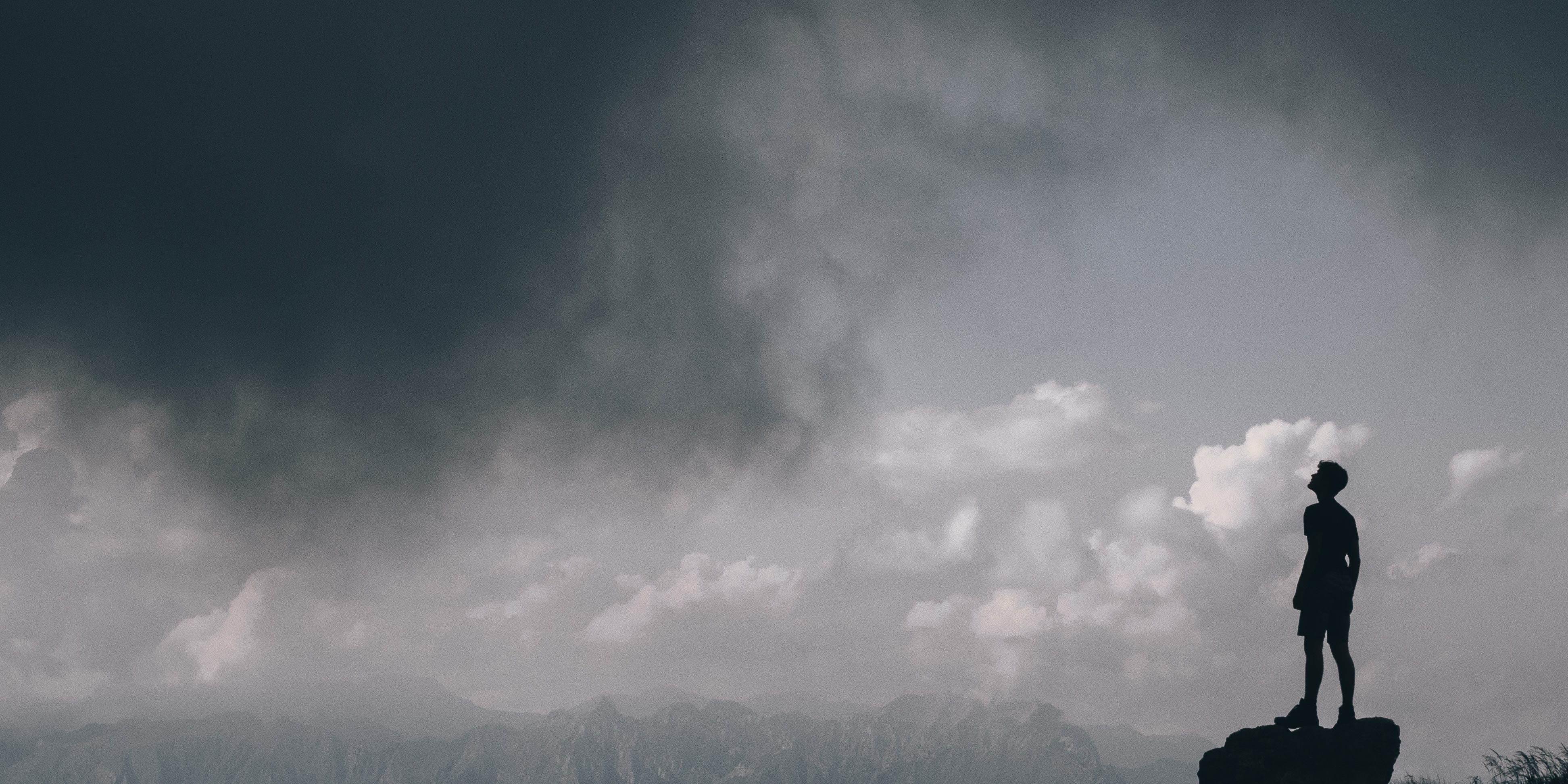 pexels-sem-steenbergen-2930934